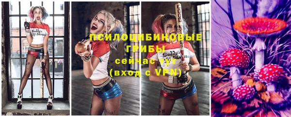 МДПВ Алексин