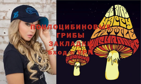 МДПВ Алексин