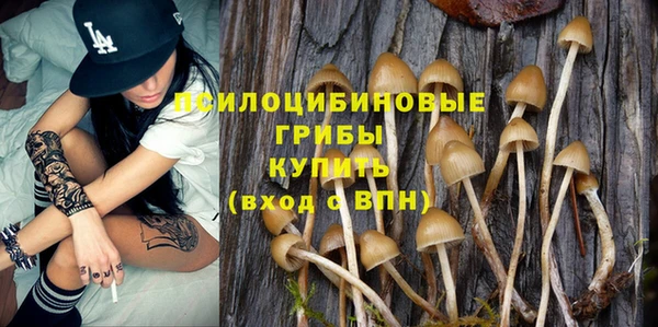 скорость Алзамай