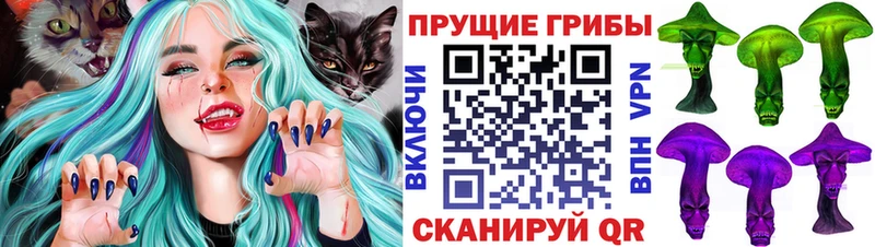 Купить где  Шимановск  Псилоцибиновые грибы Cubensis 