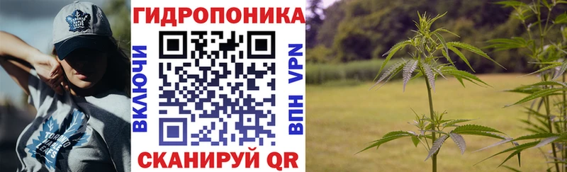 Канабис OG Kush  Купить закладки  Шимановск 